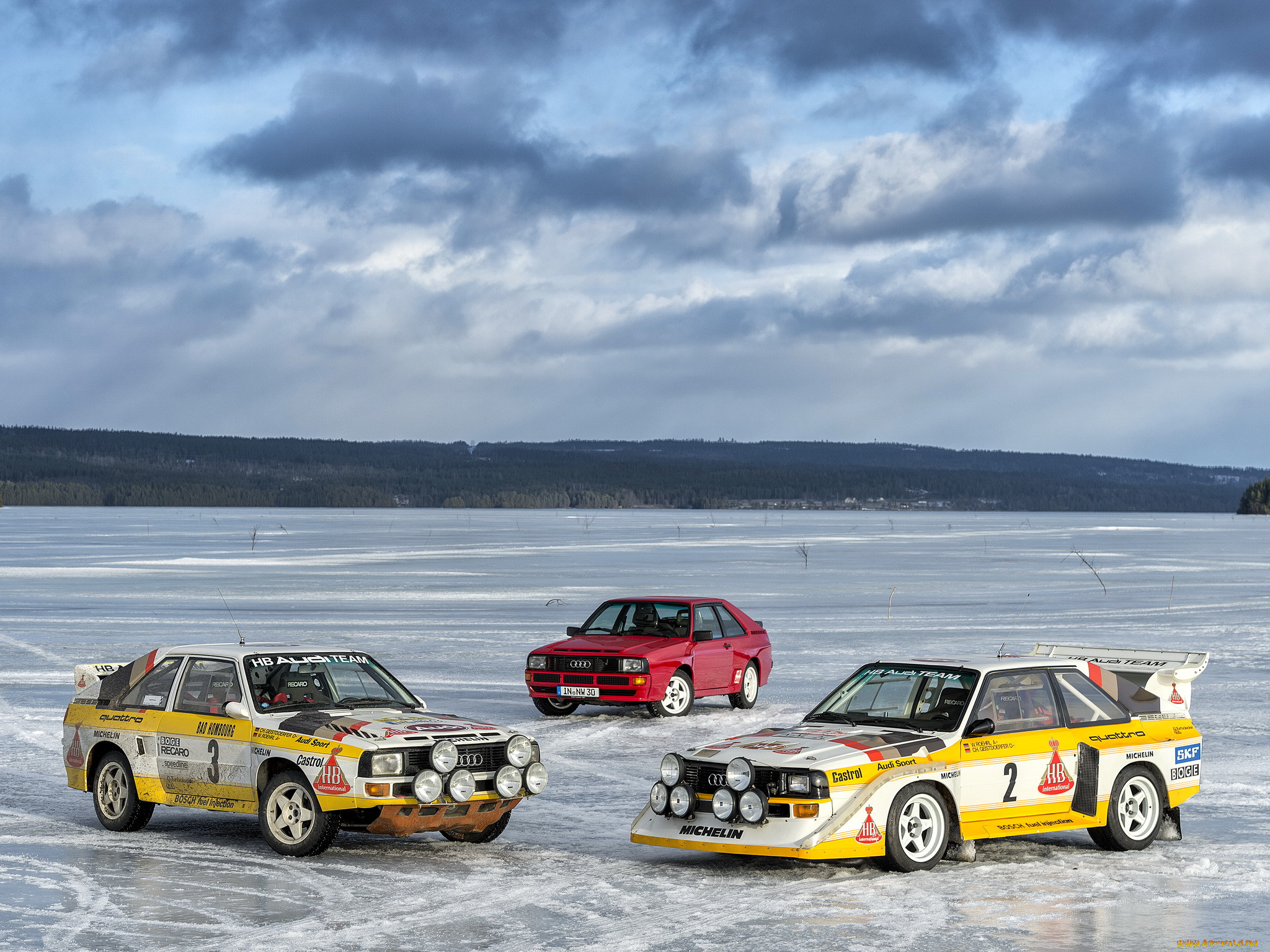, audi, quattro